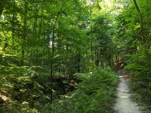 Ungeheuerklamm - Thumbnail