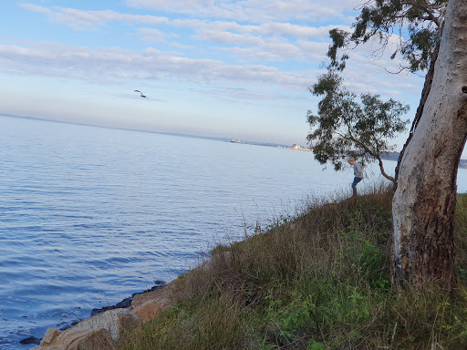 Woolley’s Beach Reserve Gallery - Australia