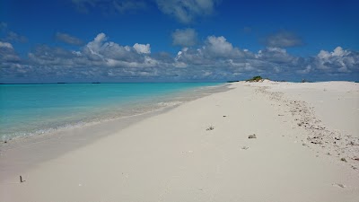 Photos of Digura