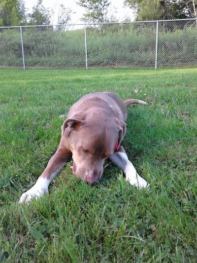 Waterville Dog Park