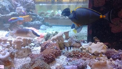 Photos of Diebo Pet World