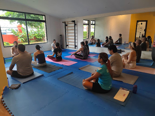 Vida en Equilibrio Yoga Panamá