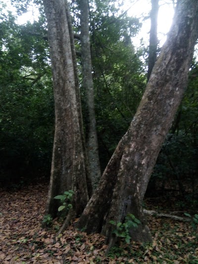 Photos of Sri Sumedha Aranya Senasuna