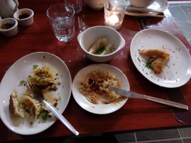Lucky Tortoise Dumpling Company
