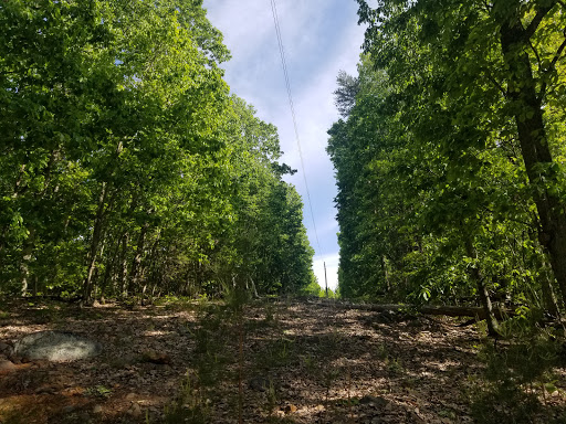 Nanny's Mountain Historical Site - Thumbnail