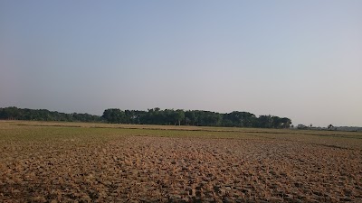Photos of Kashimpur,Porchimpara,Mosque