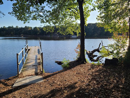 Trap Pond - Visual