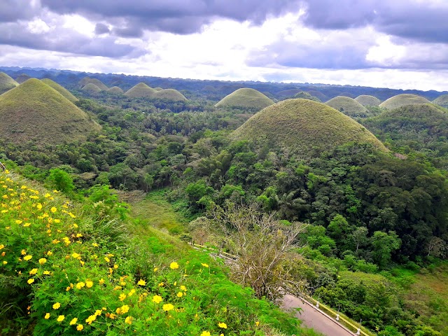 Chocolate Hills