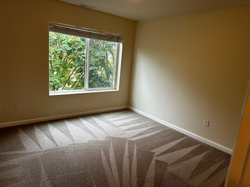Praise Cleaning Services - Visual