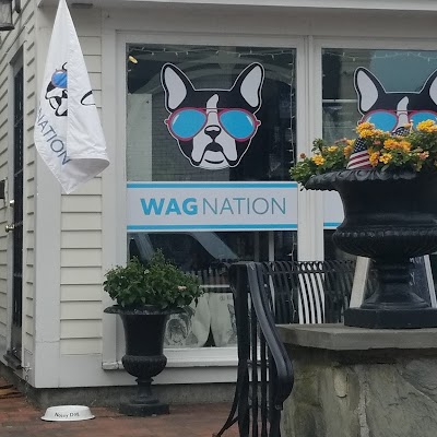 Wag Nation