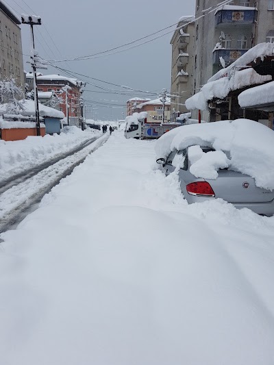 Photos of Kilpa 2 -Araklı