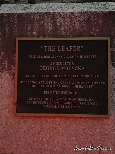 Atlantic Salmon Heritage Museum - Thumbnail