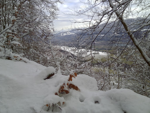 GVO Etang N°9 - Thumbnail
