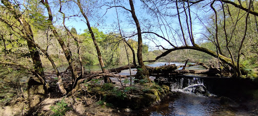 Río Ulla - Visual