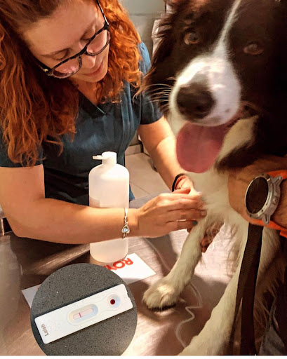 Clínica Veterinària El Castell