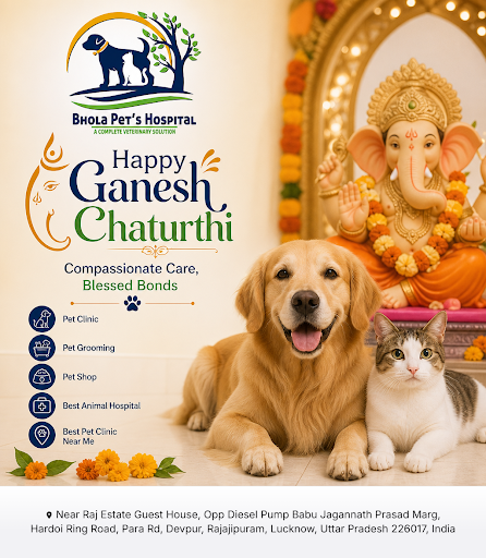 Bhola Pet's Hospital is your trusted best animal hospital offering expert pet care, grooming, and… post image
