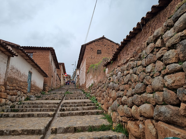 Andean Trails Limited