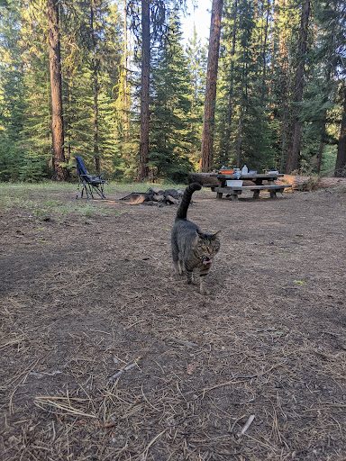 Wiley Flat Campground - Visual