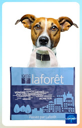 Photo n°41 de Agence immobilière Laforêt Conflans-Sainte-Honorine à Conflans-Sainte-Honorine (Agence de location immobilière)