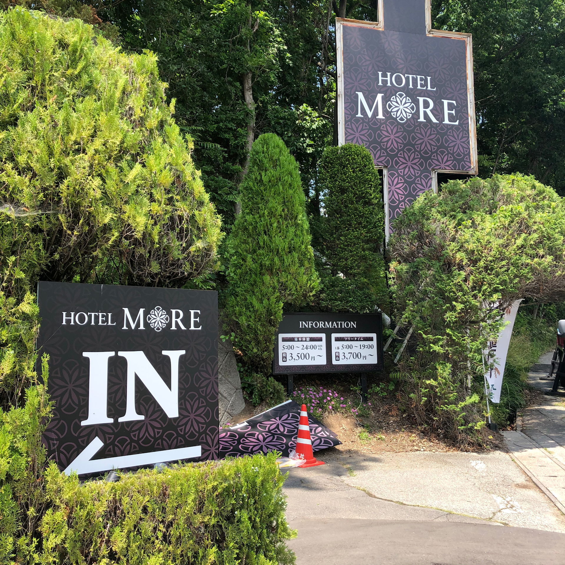 Hotel More