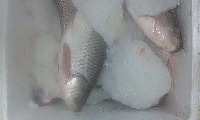 Photos of Jay Nepal Fish House