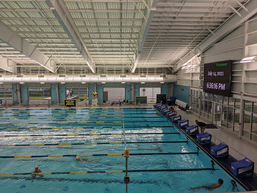 Bill Walker Pool - Visual