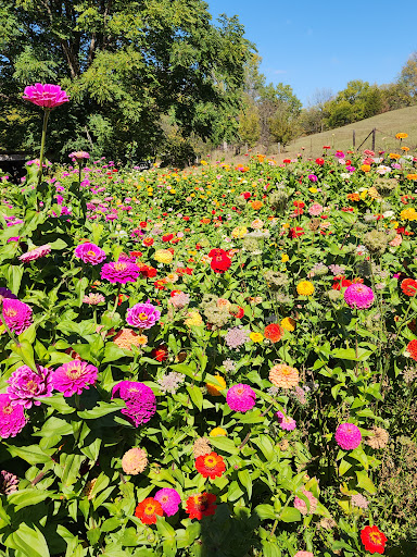 Howlin Hollar Farm - Thumbnail