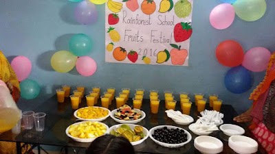 Photos of Rainforest School