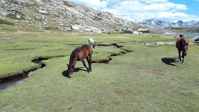 Lac de Nino