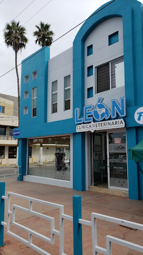 León Clínica Veterinaria