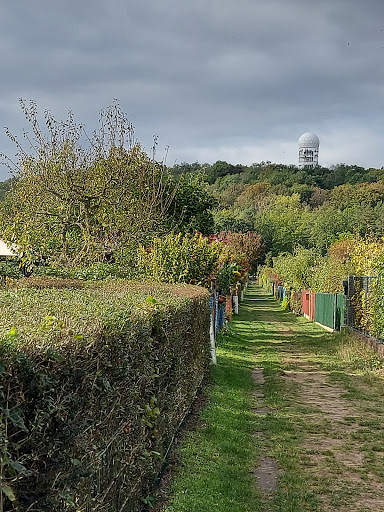 Gartenverein Grunewald / Wilhelm Naulin - "Im Jagen 84" e.V. - Thumbnail