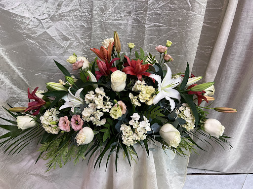 Campos Floristas - Thumbnail