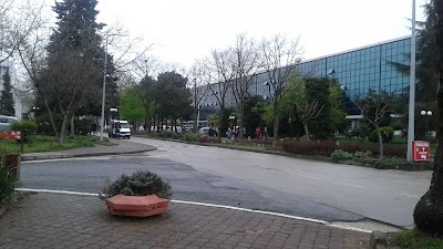 Photos of Department of Mathematics