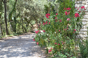 Photo n°21 de Mas Les Filaos Carpentras à Carpentras (Chambre d'hôtes)