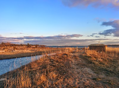 Photos of P&auml;daste m&otilde;is