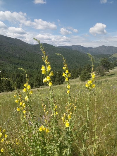 Mt Helena Ridge Trailhead