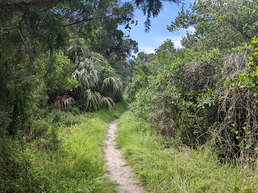 Cedar Key Railroad Trestle Nature Trail