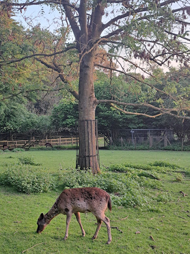 Golders Hill Park - Parking garage