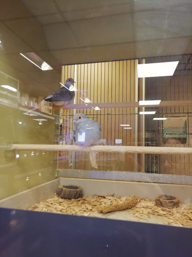 DISCUS van de Weerd Veenendaal - Thumbnail