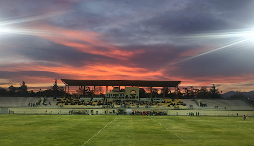 Avchala Rugby Stadium Logo