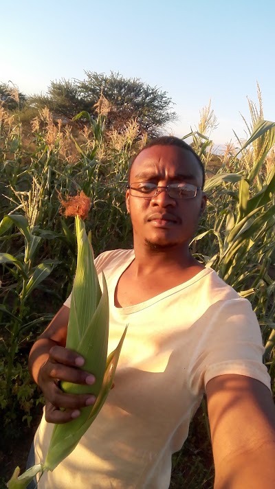 Photos of Brilliant Farm