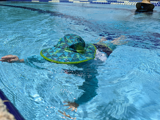 Little Swimmers Gallery - United States