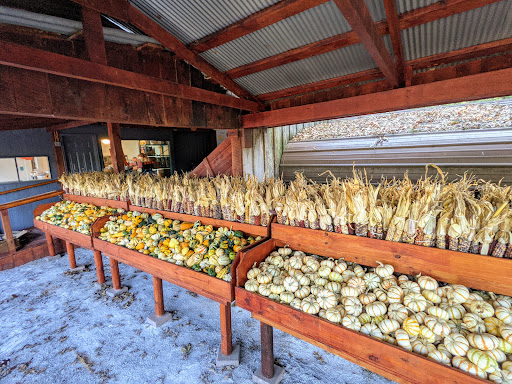 Bandys Pumpkin Patch - Visual