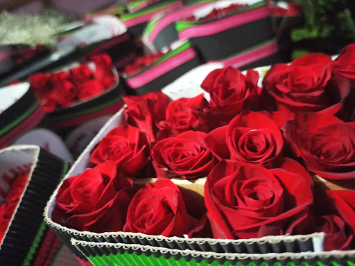 Deleite Floral - Thumbnail