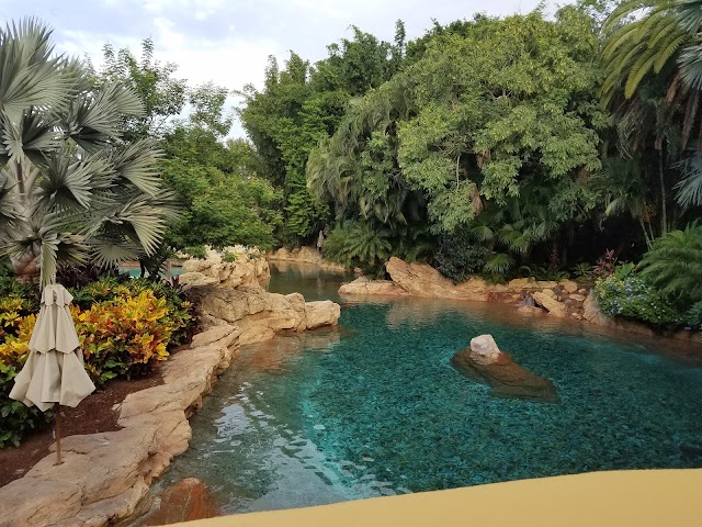 Discovery Cove