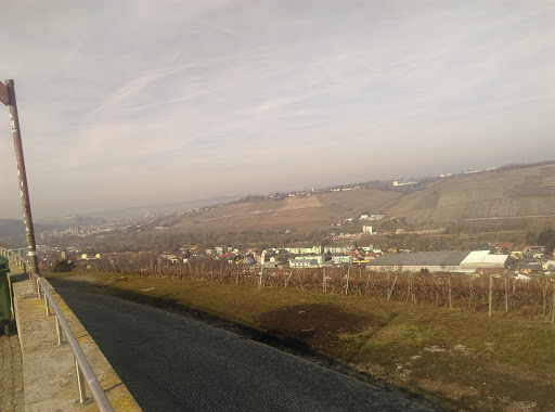 Bromberg-Rosengarten - Thumbnail