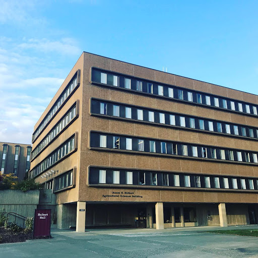 Hulbert Hall - Visual