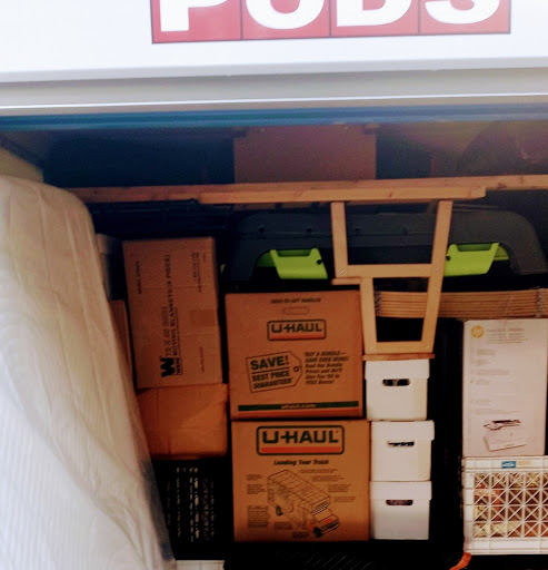 DMV Movers on the Move - Thumbnail