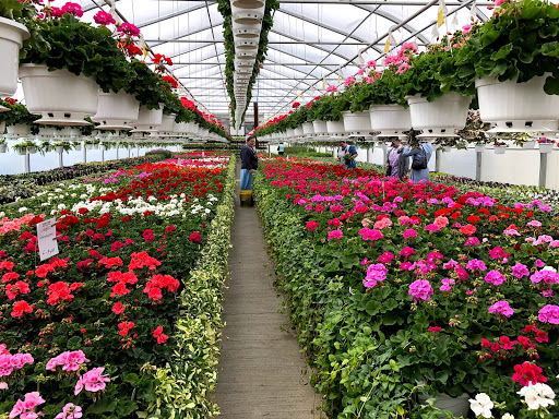 Country Garden Greenhouse