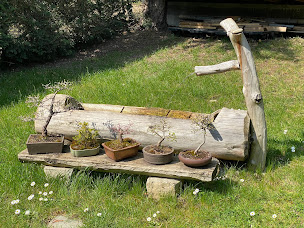 Photo n°1 de Alexandra MEDA - Coach de vie - Soins holistiques : Magnétisme, Massages, Chi Nei Tsang, Ostéothérapie, Ateliers Bien-être à Boussy-Saint-Antoine (Massothérapeute)